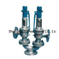 Duplex Spring Type Safety Valve (A38)